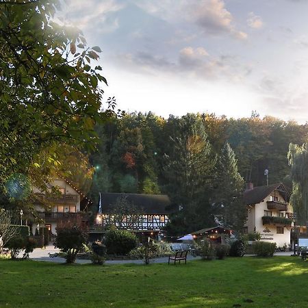 Hotel Restaurant Paradeismuehle Klingenberg am Main Kültér fotó