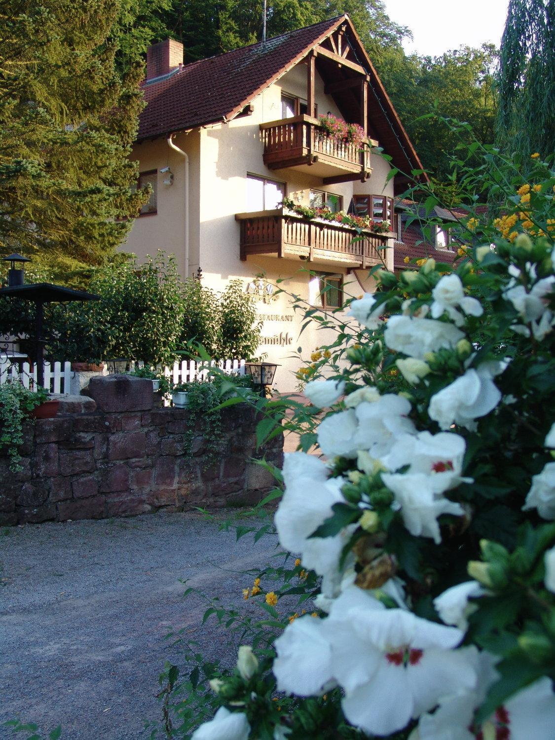 Hotel Restaurant Paradeismuehle Klingenberg am Main Kültér fotó